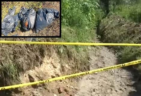 Peste 75 de saci cu rămășițe umane, găsiți în gropile din pământ! Polițiștii din Zapopan s-au îngrozit: „Nu știm câte cadavre...”