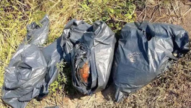 Peste 75 de saci cu rămășițe umane, găsiți în gropile din pământ! Polițiștii din Zapopan s-au îngrozit: „Nu știm câte cadavre...”