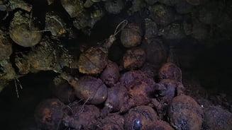 Peste o mie de grenade germane din Primul Război Mondial au fost descoperite &icirc;ntr-o pădure