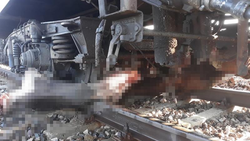 Imagini cu puternic impact emoțional! Un tren de pasageri, care mergea spre Bistrița, a lovit 13 vaci