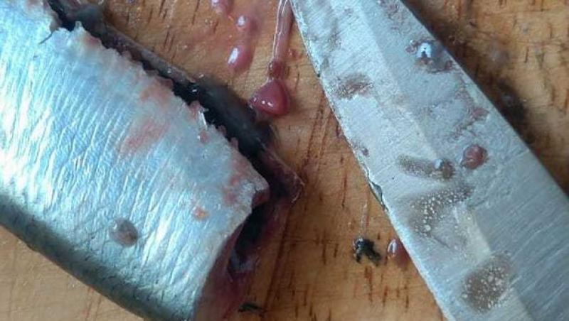 Un bărbat și soția lui au fost oripilați după ce au găsit viermi în peștele proaspăt cumpărat de la supermarket: 