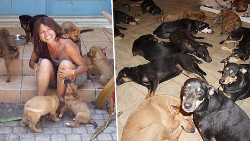 O femeie a adăpostit 97 de câini în casa ei în timpul uraganului Dorian - FOTO