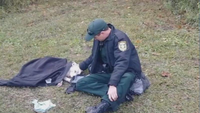 Emoționant! Un polițist a învelit cu hainele lui un câine lovit de mașină! A așteptat lângă el până au venit ajutoarele!