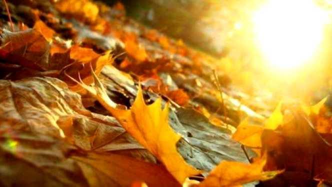 Vremea 30 septembrie 2019. Temperaturi de vară, maxime de p&acirc;nă la 32 de grade