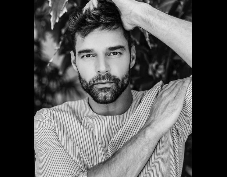 Ricky Martin şi soţul lui aşteaptă al patrulea copil