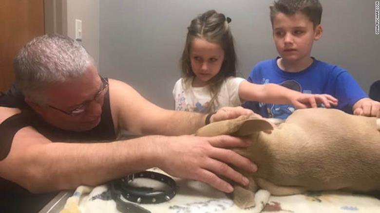 C&acirc;inele erou! A murit protej&acirc;ndu-și stăp&acirc;nii de un șarpe veninos