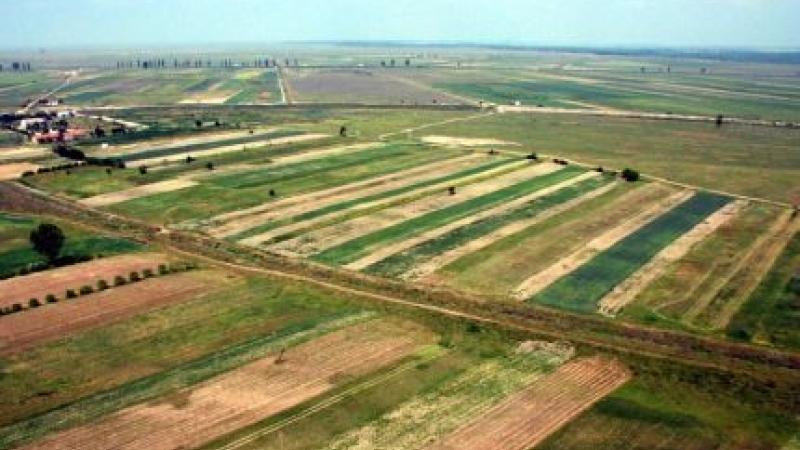 EximBank a semnat un acord de finanţare de 28,8 milioane de euro cu Agricost, administratorul exploataţiei agricole Insula Mare a Brăilei