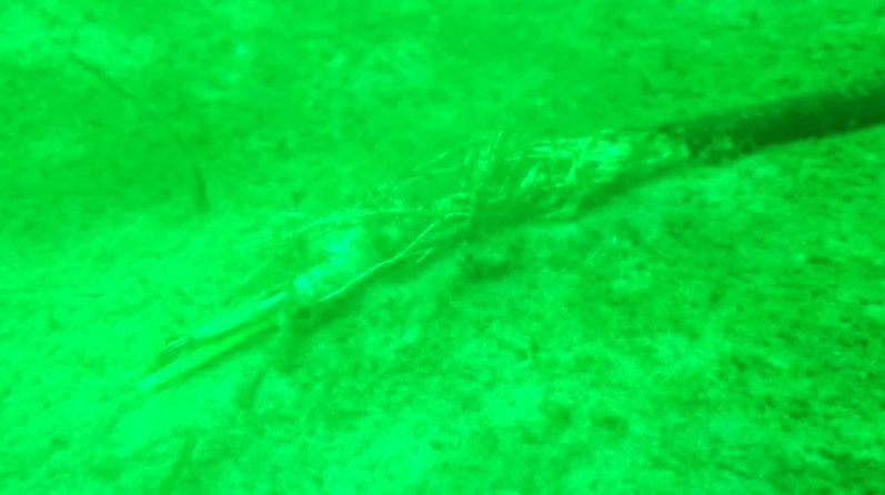 Incident misterios la mare! A dispărut fără urmă zilele trecute. Autoritățile, &icirc;n alertă de gradul zero!