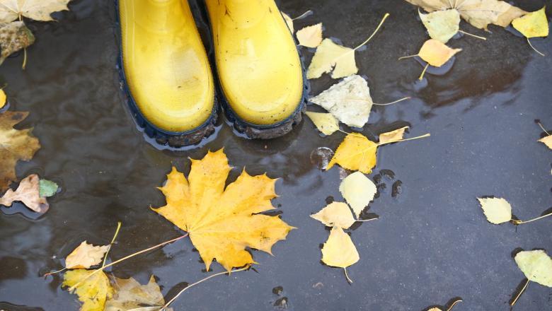 Fluctuații de temperatură și ploile &icirc;n Rom&acirc;nia. Prognoza meteo p&acirc;nă pe 22 septembrie