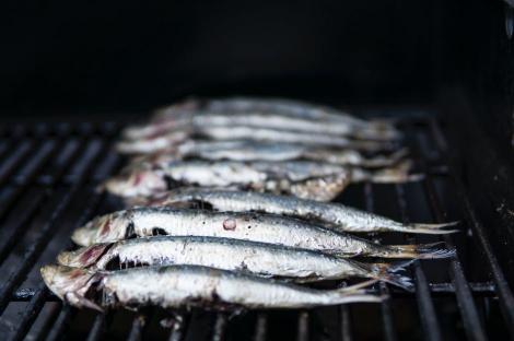 Pericole alimentare! ANPC a interzis vânzarea a 20 de tone de pește și produse din pește