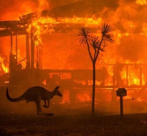 Incendiile din Australia au pârjolit o suprafaţă de 103.000 de kilometri pătraţi, mărimea Coreii de Sud