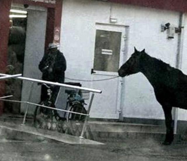 VIRAL. Un bărbat și-a scos calul la cumpărături &icirc;ntr-un supermarket! Unde l-a lăsat pe bietul animal - FOTO