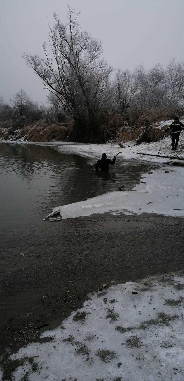 Braşov: Doi adolescenţi de 14 ani au plecat ieri să se joace şi nu au mai revenit la domiciliu; zeci de persoane au demarat căutările, unul dintre băieţi fiind găsit &icirc;n albia rului Olt/ Cel de-al doilea este &icirc;n continuare căutat- FOTO/ VIDEO