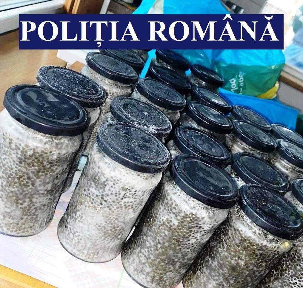 Un bărbat din Ialomiţa a fost reţinut după ce a v&acirc;ndut icre negre. La percheziţii, poliţiştii au găsit icre negre de 10.000 de euro, deţinute ilegale