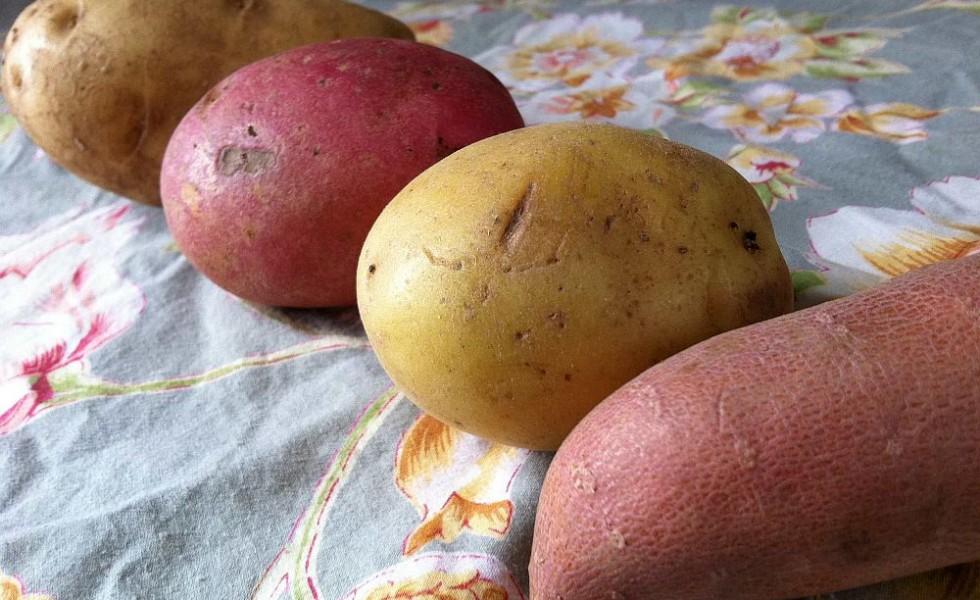 Cum alegi cartofii pentru prăjit sau fiert! Secretul știut doar de puțini români