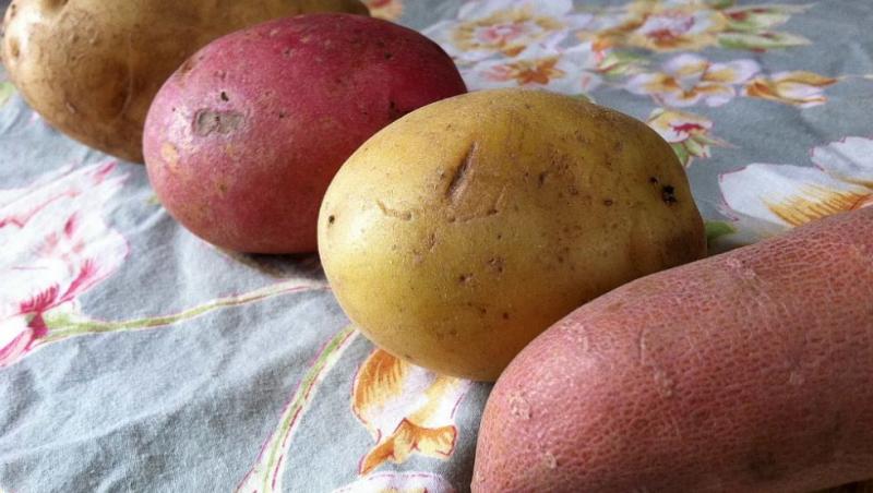 Cum alegi cartofii pentru fiert sau prăjit