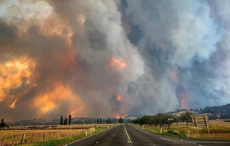 Fumul de la incendiile din Australia va face "un tur complet" în jurul lumii
