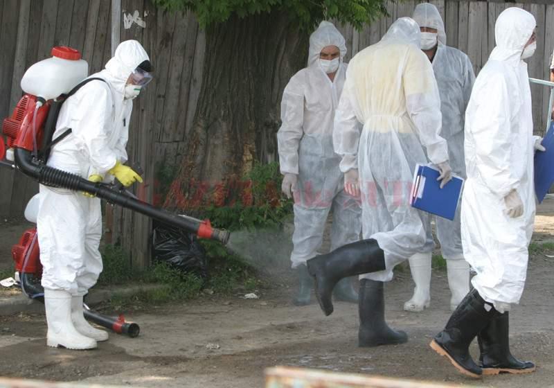 Alertă! Un nou val de gripă aviară amenință Rom&acirc;nia! Unde a fost depistat un focar!