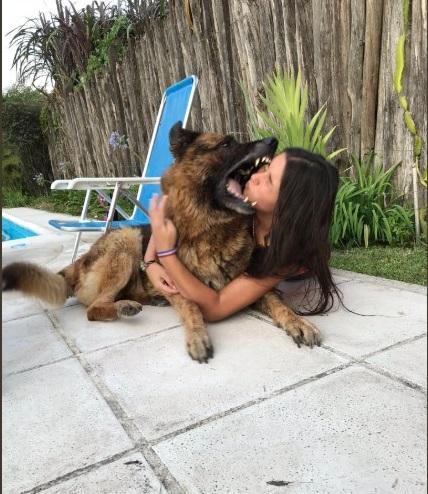 Tot ce a vrut a fost o sedință foto cu un c&acirc;ine, &icirc;nsă a ajuns la spital! Motivul pentru care o adolescentă s-a ales cu răni pe față - FOTO