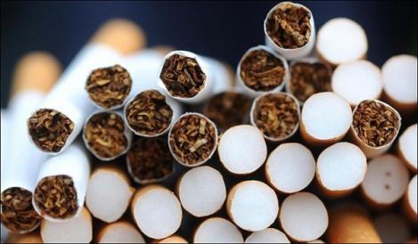 RAPORT: Autorităţile au capturat peste 150 de milioane de ţigarete în 2019, mai mult cu peste 40% faţă de anul precedent. Valoarea totală pe piaţa neagră a ţigaretelor confiscate este de 71 milioane lei