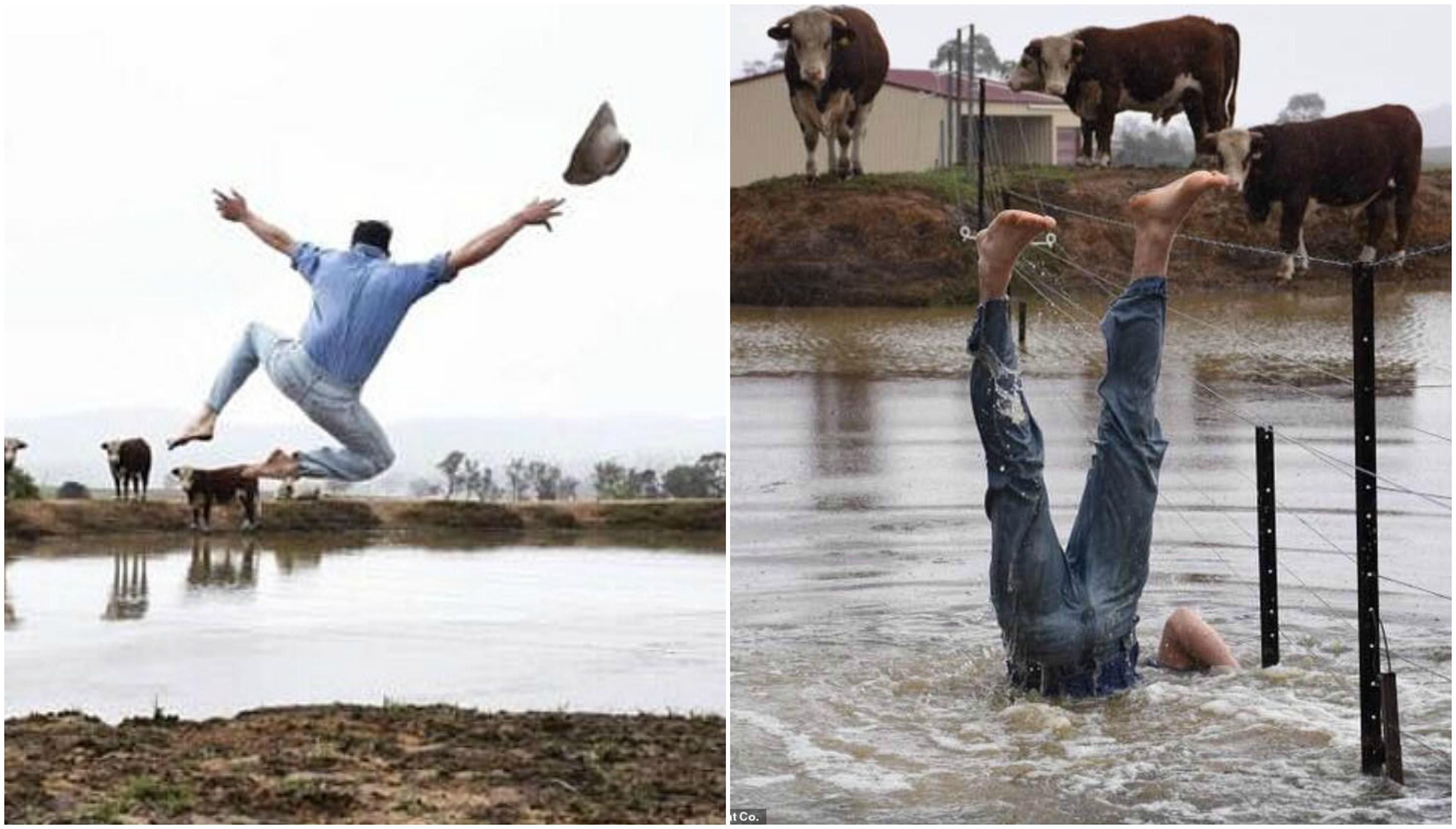 Nimeni nu s-a mai bucurat &icirc;n acest hal de o baltă! S-a aruncat &icirc;n ea cu brațele deschise! P&acirc;nă și vacile au părut uimite! &bdquo;Am promis că voi face asta&rdquo; - VIDEO