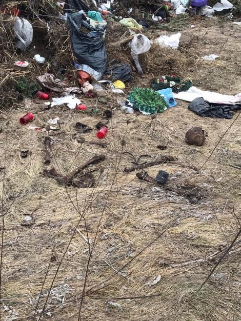 Fragmente de cadavre umane, găsite pe câmp, lângă un cimitir de la marginea oraşului Timişoara