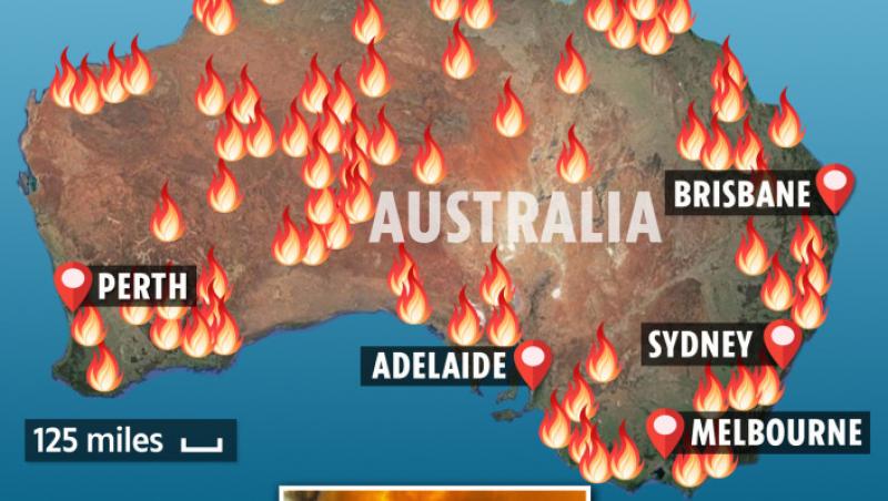Australia, iadul de foc de pe planetă! Harta focurilor! Oamenii se refugiază în mare pentru a se salva de flăcări