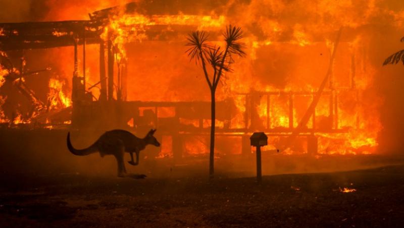 Incendii de vegetație în Australia.