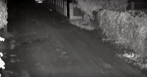 Cutremurul de 5,2 grade ce s-a produs în România, în imagini filmate de o cameră de supraveghere! VIDEO