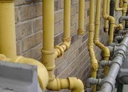 Gest de cruzime față de animale! Un c&acirc;ine a fost găsit sp&acirc;nzurat de o țeavă de gaze