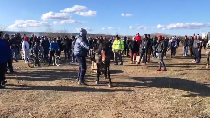 C&acirc;tă cruzime! Cai loviți cu bestialitate, de Bobotează, &icirc;n Rom&acirc;nia! Atenție, imagini greu de privit! VIDEO