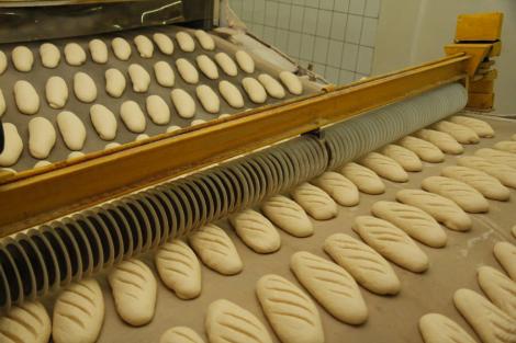 Au fost verificate condițiile în care se fabrică pâinea și alte alimente asemenea și au fost acordate amenzi de 530.400 de lei. ANSVAS a făcut controale, iar rezultatele sunt îngrijorătoare