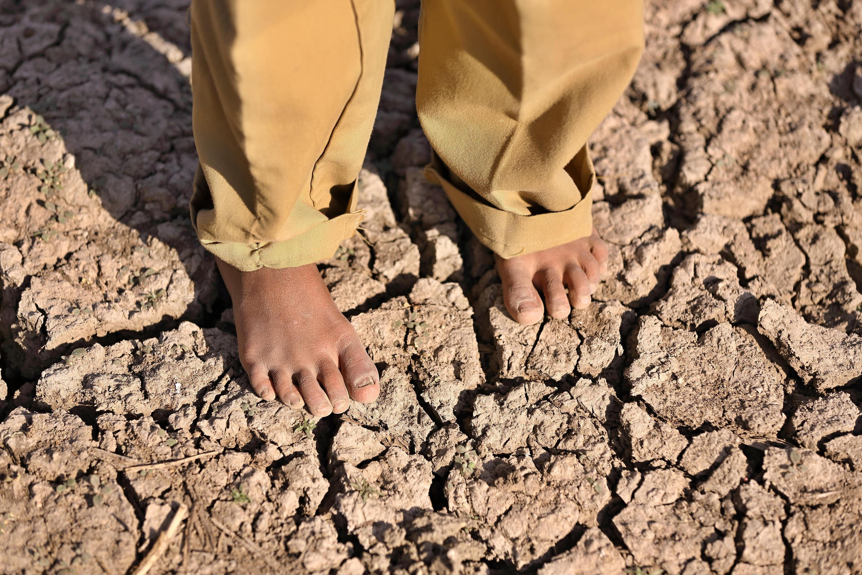 A fost numit cel mai tragic an din istorie. Ce luni au fost catastrofale pentru umanitate