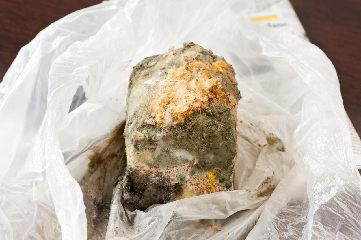 Cum arată un aliment fast food expirat de 8 ani. Ce au descoperit medicii despre ingredientele din el