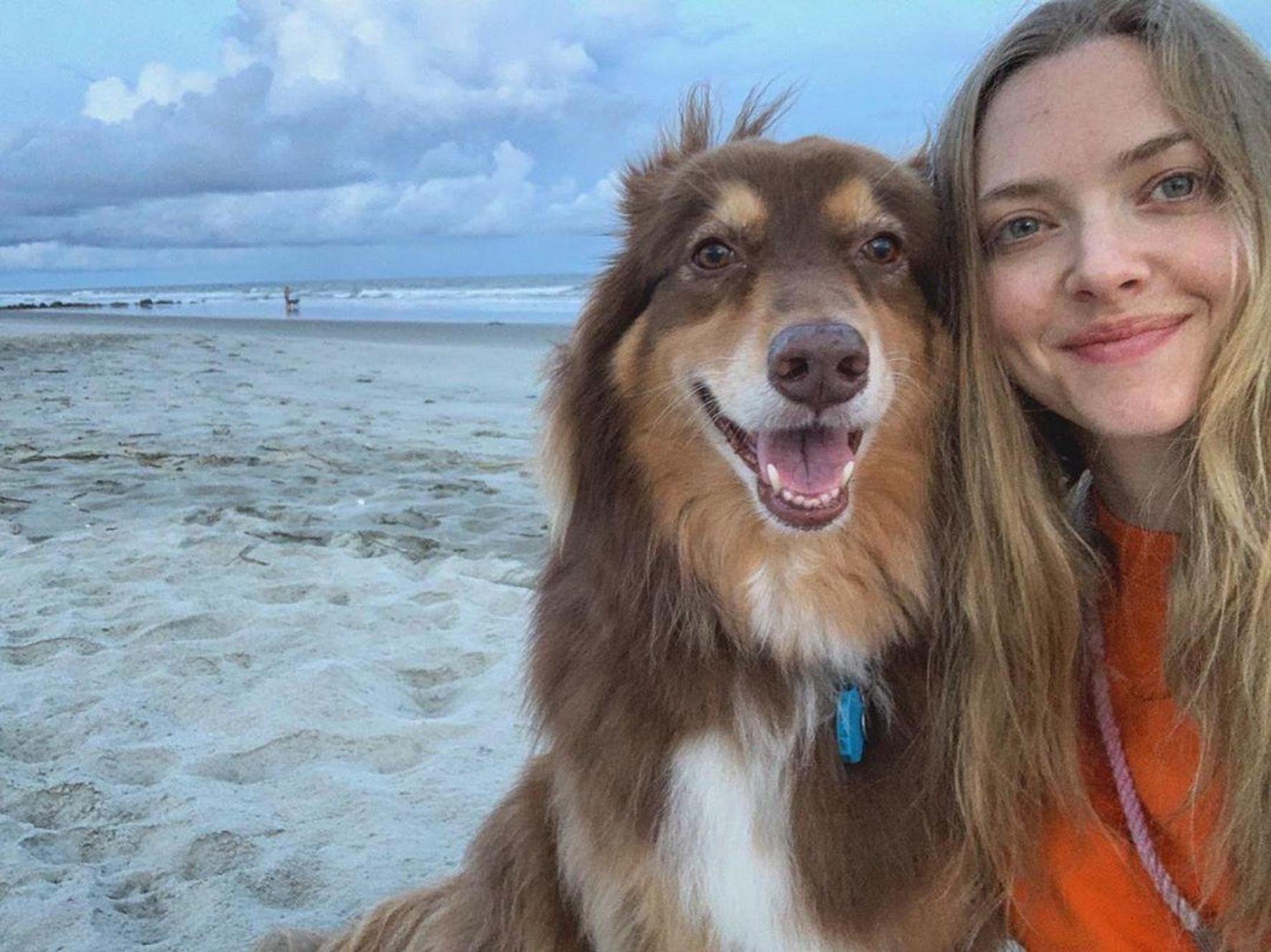 Amanda Seyfried pe plajă cu animalul de companie