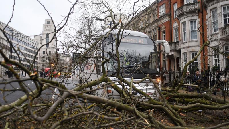 Imagini cu dezastrul lăsat de furtuna din Europa în urma căruia șapte oameni și-au pierdut viața. 