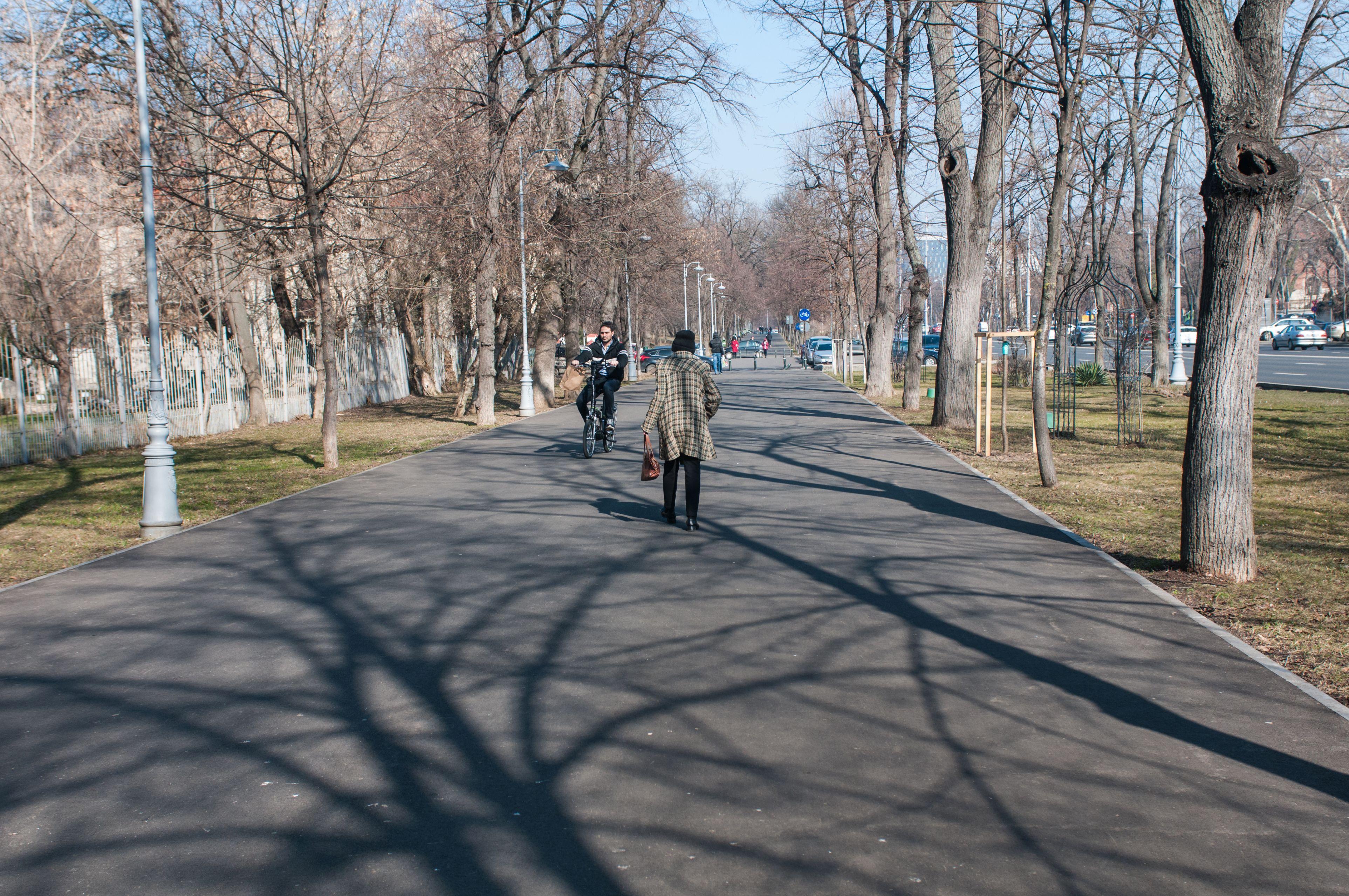 ANM: vremea se &icirc;ncălzește săptăm&acirc;nile viitoare. Prognoza meteo p&acirc;nă la sf&acirc;rsitul lunii februarie