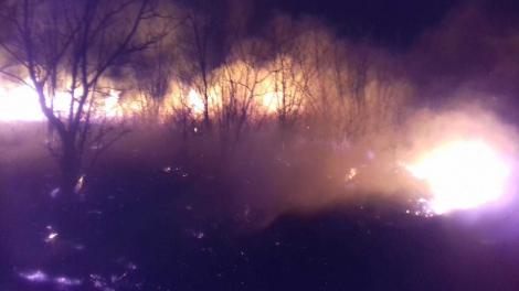 Buzău: Puternic incendiu de vegetaţie într-o zonă cu conducte de gaz/ Focul s-a întins pe 150 de hectare, ajungând până în apropierea unei biserici