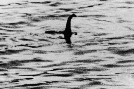 Scheletul unei CREATURI surprins pe o plajă din Scoția! "Este monstrul Loch Ness"