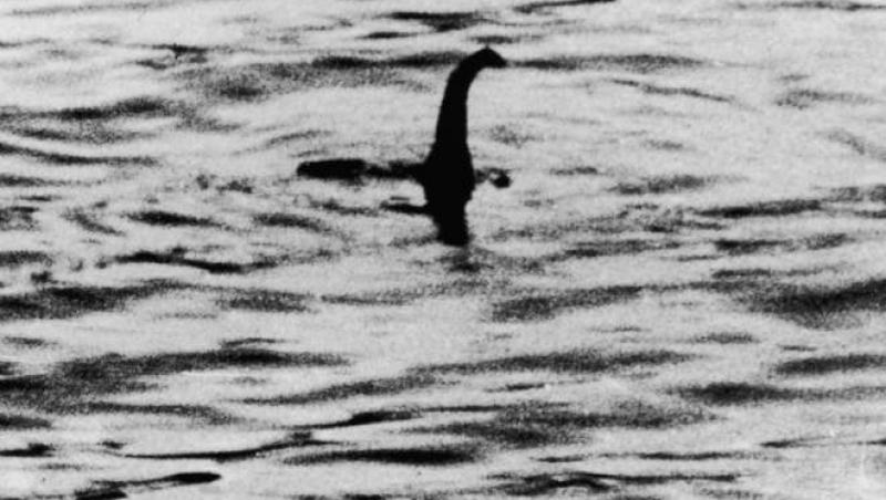 Un MONSTRU surprins pe o plaja din Scoția! "Este monstrul Loch Ness".