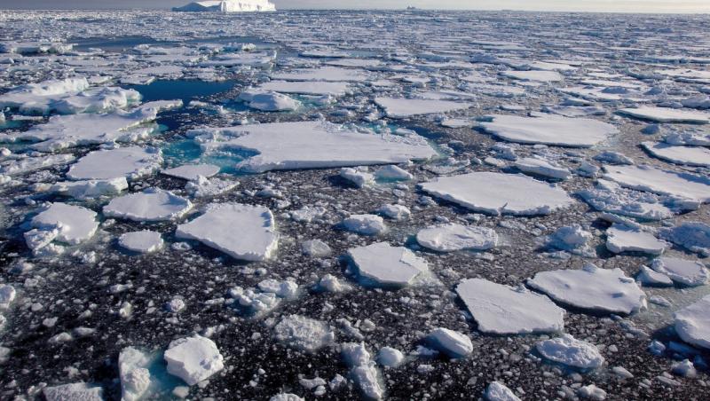20 de grade Celsius înregistrate în Antarctica