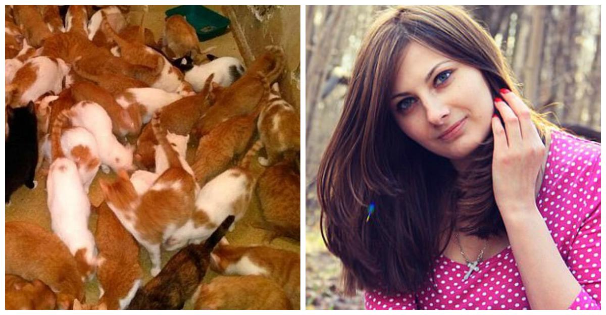 A divorțat și și-a găsit dragostea &icirc;n r&acirc;ndul felinelor. Ea e t&acirc;năra care a trăit cu 130 de pisici &icirc;ntr-o garsonieră: &rdquo;&Icirc;și cheltuia toți banii pentru a le hrăni, dar nu era de ajuns!&rdquo;