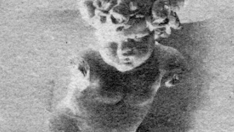 ”Cupidon cu brațele frânte”, statuia din colecția personală a lui Carol Popp de Szathmary, prima fotografie din istoria noastră