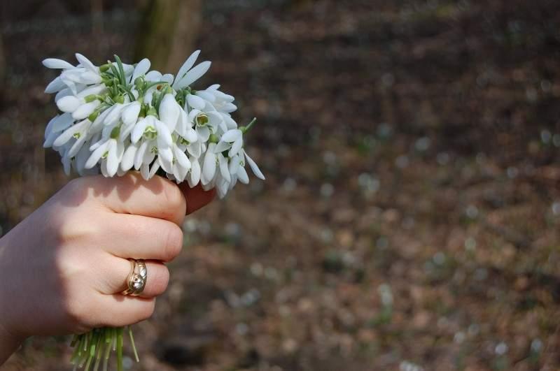 Rom&acirc;nia, lovită de un val de aer neobișnuit de cald! C&acirc;t de mult vor crește temperaturile și unde va ploua