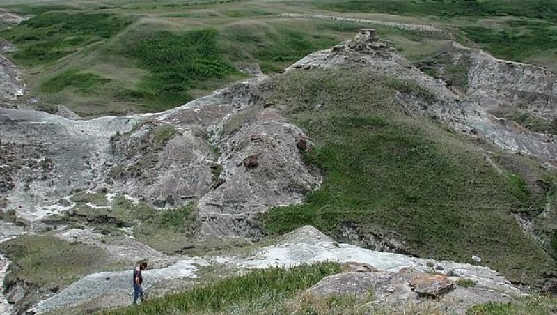 O nouă desoperire! Ouă de dinozaur, vechi de 75 de milioane de ani, găsite în Canada