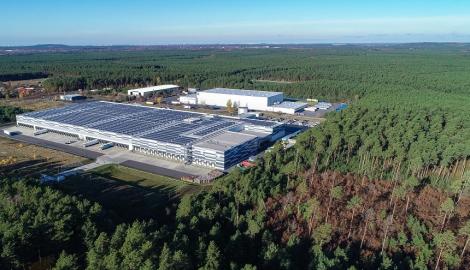 Un tribunal din Germania a ordonat Tesla să nu mai taie pădurea de pe terenul unde construieşte prima sa fabrică de baterii şi automobile din Europa