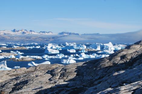 Avertisment: Au fost înregistrate 21 de grade Celsius în Antarctica pe 13 februarie. Este cea mai ridicată temperatură măsurată de până acum