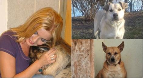 Ce s-a ales de câinii ce au vegheat la capătâiul Cristinei Țopescu? Bonnie și Sissi au nevoie de ajutor: „Fac terapie, au traume adânci”