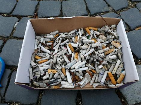 Sute de mucuri de ţigară, strânse de pe jos în doar o oră de un ghid turistic din Alba Iulia