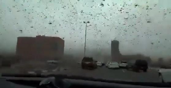 Imagini apocaliptice. Roiuri de lăcuste au acoperit cerul unui oraș și se &icirc;ndreptă spre China: &bdquo;Milioane de oameni sunt &icirc;n pericol de foamete&rdquo;